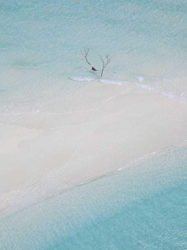 团宠假千金，首富全家火葬场