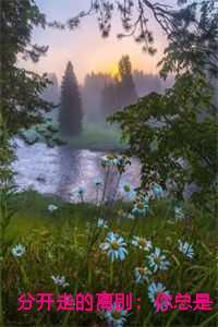 分开走的离别:你总是爱她随风 分开走的离别:你总是爱她随风
