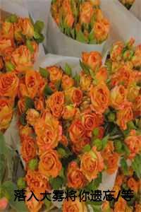 落入大雾将你遗忘等爱的玫瑰落入迷雾中大雾散尽