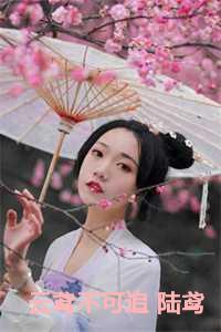 云鸢不可追 陆鸢 云鸢不可追 陆鸢