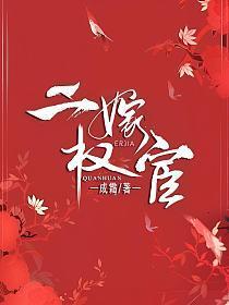 二嫁权宦