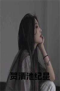 贺清池纪星小说名字