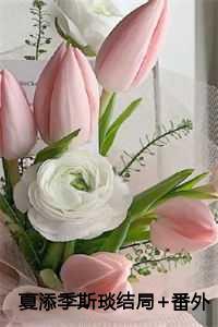 夏添季斯琰结局+番外 夏添季斯琰结局+番外