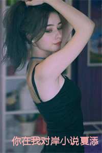 你在我对岸小说夏添 你在我对岸小说夏添