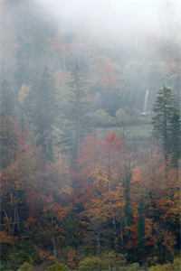 离婚后我死了,妻子为我圆梦 + 离婚后我死了,妻子为我圆梦 +