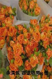 余清弦 容遂结局+番外 余清弦 容遂结局+番外