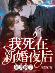 我死在新婚夜后,渣男疯了苏菀陆时晏