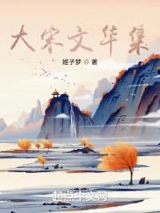 大宋文华集 大宋文华集