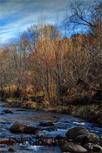 星光下的归属陈豪豪豪 星光下的归属陈豪豪豪