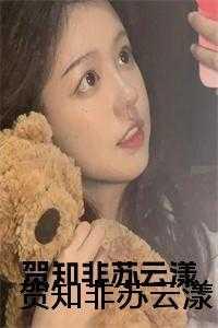 贺知非苏云漾 贺知非苏云漾