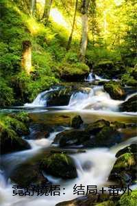 霓舒镜梧:结局+番外+完结 霓舒镜梧:结局+番外+完结