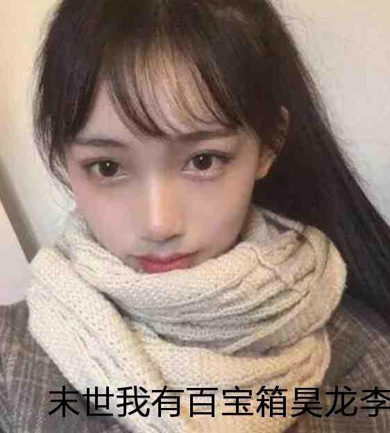 末世我有百宝箱昊龙李伟 末世我有百宝箱昊龙李伟