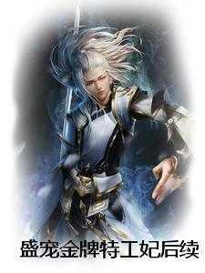 盛宠金牌特工妃后续 盛宠金牌特工妃后续