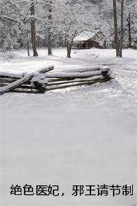 绝色医妃,邪王请节制结局+番外