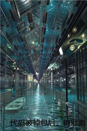 代码被掉包后,销冠跑路了 代码被掉包后,销冠跑路了