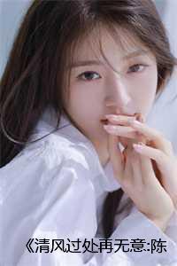 《清风过处再无意:陈铭林墨语》小说 《清风过处再无意:陈铭林墨语》小说