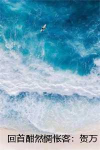 回首酣然惆怅客:贺万宁陆知恒结局+番外 回首酣然惆怅客:贺万宁陆知恒结局+番外