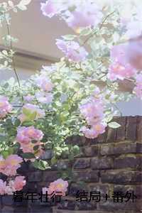 暮年壮行:结局+番外+完结 暮年壮行:结局+番外+完结