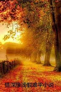 情深缘浅恨难平小说:结局+番外 情深缘浅恨难平小说:结局+番外