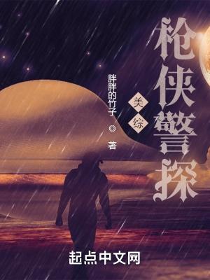 北美枪侠警探 北美枪侠警探