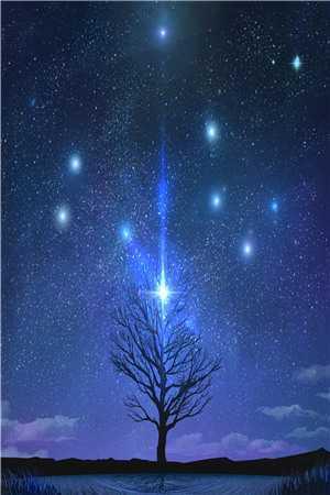 女人和小黑狗互相救赎