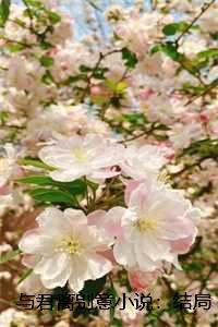 与君离别意小说:结局+番外 与君离别意小说:结局+番外