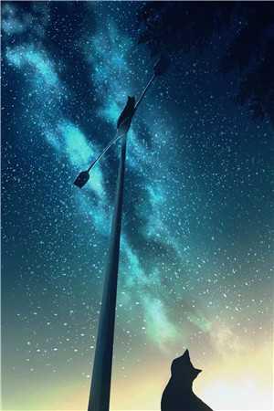 十年不悔替我自由