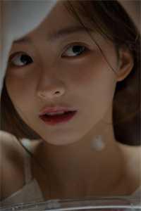 和老槐树下的你