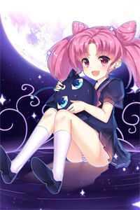 蜘蛛卡牌 蜘蛛卡牌