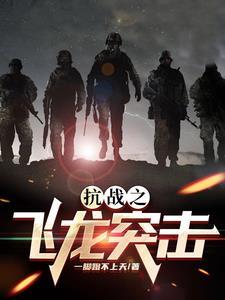 抗战之飞龙突击 抗战之飞龙突击