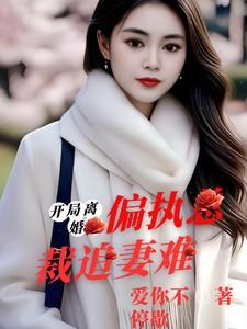 开局离婚：偏执总裁追妻难
