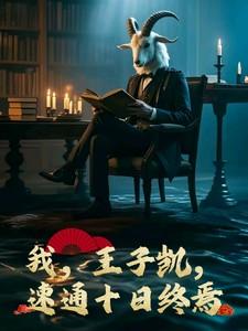 我,王子凯,速通十日终焉