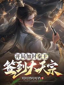 开局加封秦王，签到大天宗