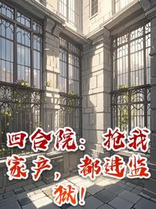 四合院：抢我家产，都进监狱！