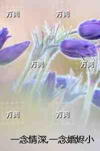 一念情深,一念婚烬:后续+完结 一念情深,一念婚烬:后续+完结