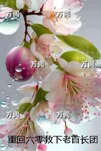 重回六零救下老首长团长老公慌了：后续+全文