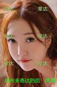 月光未寄达的信：结局+番外免费赏析