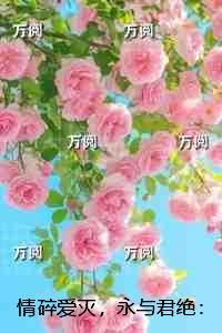 情碎爱灭，永与君绝：+后续+结局