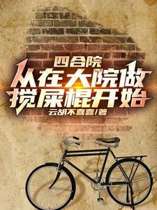 四合院:我入住后,大院乱套了 四合院:我入住后,大院乱套了