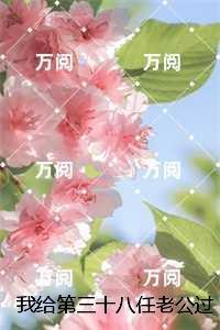 我给第三十八任老公过喜完整版：全文+后续