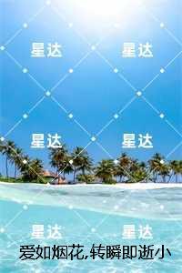 爱如烟花,转瞬即逝小说全文:结局+番外 爱如烟花,转瞬即逝小说全文:结局+番外