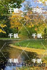 我给第三十八任老公过喜：无删减全文