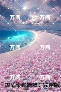 霜华染鬓情难守：无弹窗