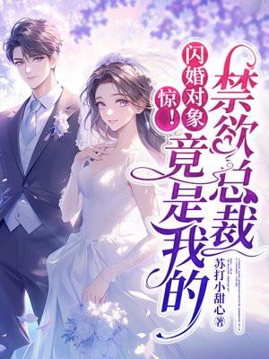 惊！闪婚对象竟是我的禁欲总裁