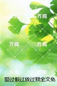 爱过恨过放过我：+结局+完结