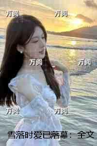 雪落时爱已落幕：强推