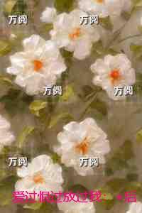 爱过恨过放过我：全集小说