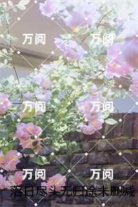 落日尽头无归途：后续更新+番外