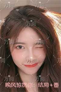 晚风惊扰你：高分言情