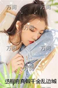 丞相府真假千金乱边城 丞相府真假千金乱边城